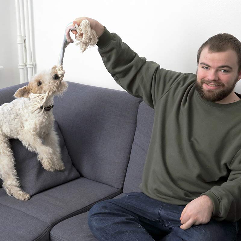 Betreutes Wohnen Mann auf Couch spielt mit Hund
