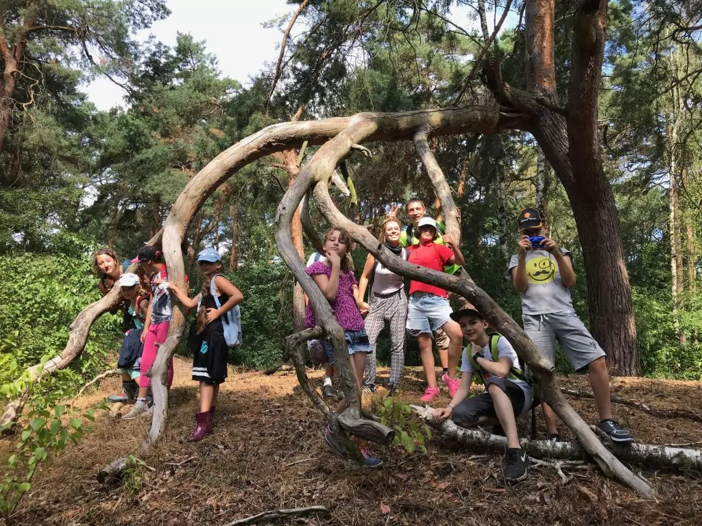 Falkensee Ausflug in den Wald